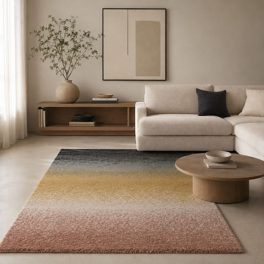 Shaggy Noelia Covor Rectangular Multicolor 140x200cm