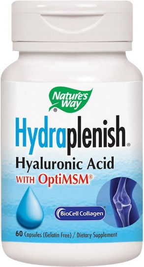Hydraplenish Plus MSM Natures Way 1000 mg 60 Capsule