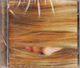 Juana Molina Segundo CD Μουσικής