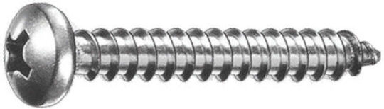 Blechschraube mit Durchmesser M1 und Länge 12mm