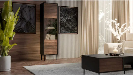 Boden-Wohnzimmer Vitrine aus Spanplatte mit Verglasung Schwarz 53x40x182cm