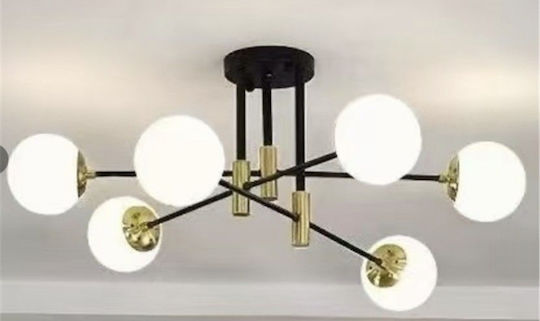 Ceiling Mount Light
