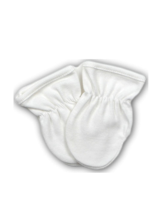 Ninetta Bebe