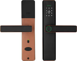 Electronic Lock with Wi-Fi