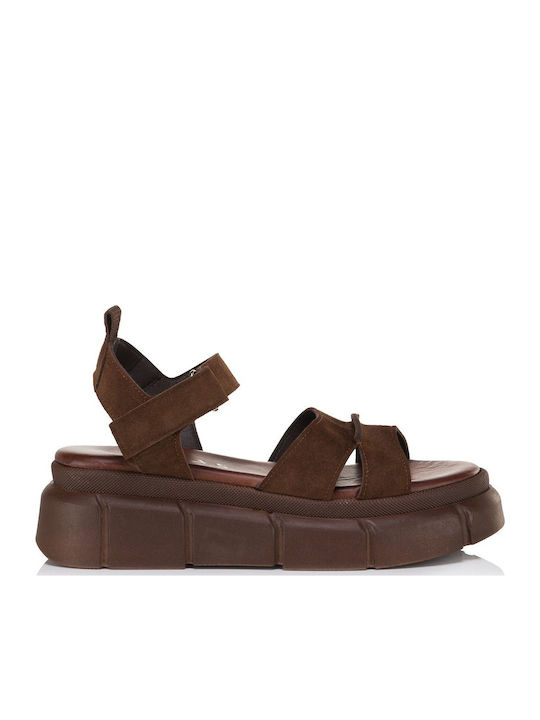 Tomas Shoes