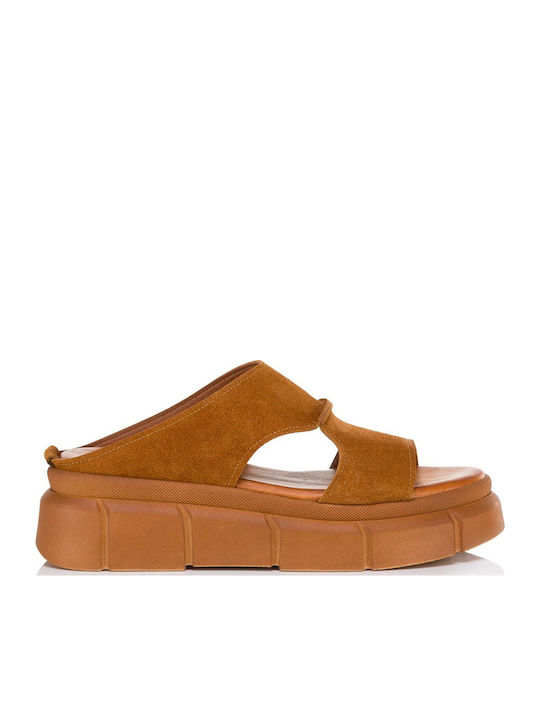 Tomas Shoes