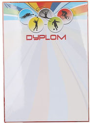 Diploma 25 Pcs