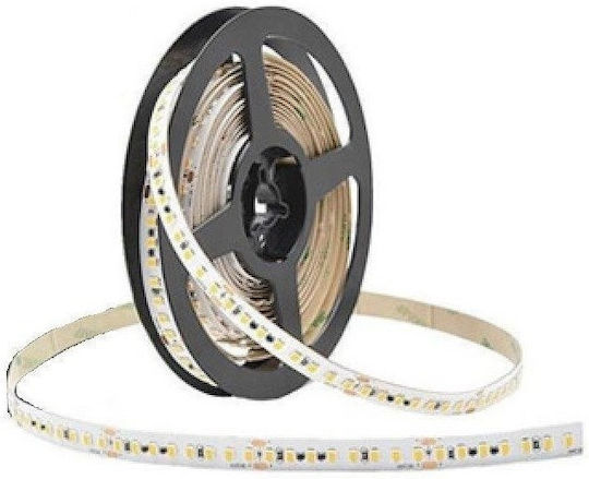 Cubalux Wasserfester LED-Streifen 24V Blaues Licht 15m
