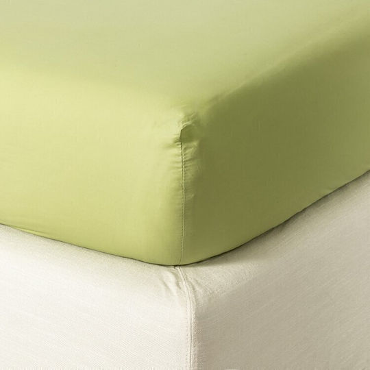 Zucchi Collection Super-Double Bed Sheet with Rubber Hugger 175x200+30cm Green