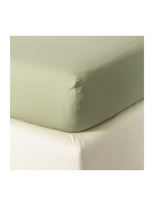 Zucchi Collection Super-Double Bed Sheet with Rubber Hugger 175x200+30cm Light Khaki