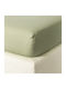 Zucchi Collection Super-Double Bed Sheet with Rubber Hugger 175x200+30cm Light Khaki