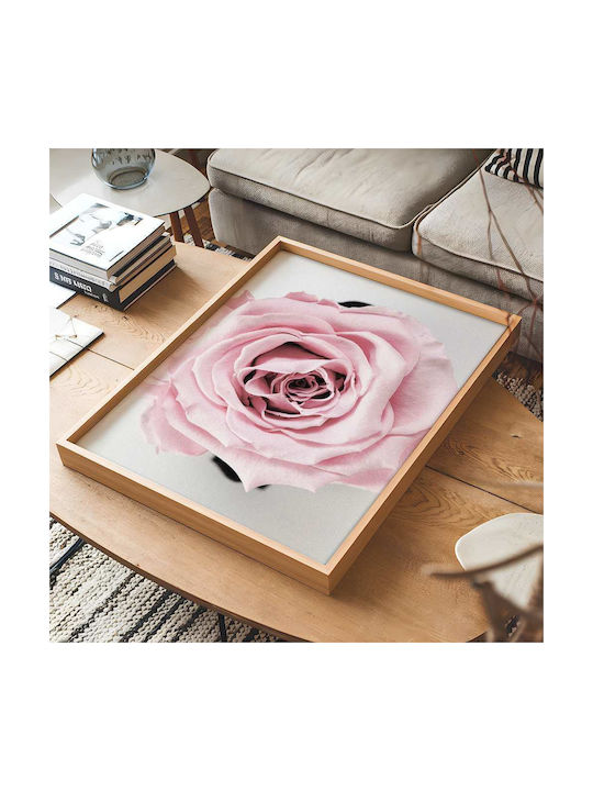 Poster Rose Pst2521 40cm X 50cm White Wooden Frame