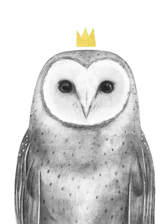 Παιδικό Κάδρο Queen Owl με Λευκή Κορνίζα από Ξύλο 40x50εκ.