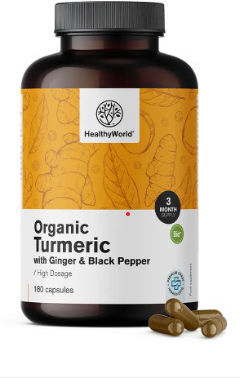 Healthy World Bio Kurkuma Gewürz 1,44g