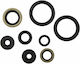 Moose Racing Engine Seal Kit Kawasaki Kx 250 F 17-20 1 Piece