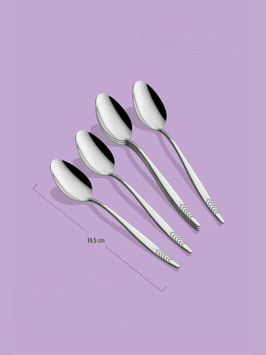 SteweHome Salter Inox Dessert / Eiscreme Löffel Set Silber 6 Stück