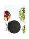SteweHome Wicker Black Placemats 48x34cm