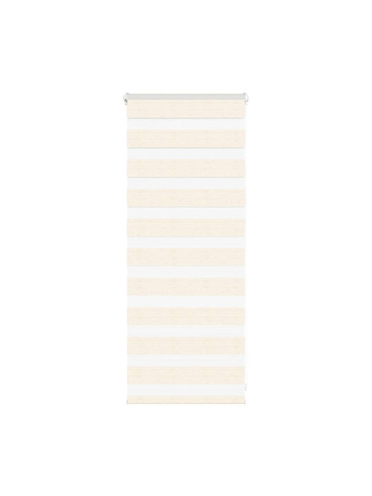 vidaXL Roller Blinds Partial Blackout Beige W55xH100cm 4014616