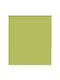 vidaXL Roller Blackout Total Blackout Green W120xH175cm 4011288