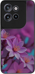 Sonique Case Sunset In Eden Series Motorola Edg...