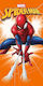 Dimcol Spider-man Prosop De Plajă Pentru Copii ...