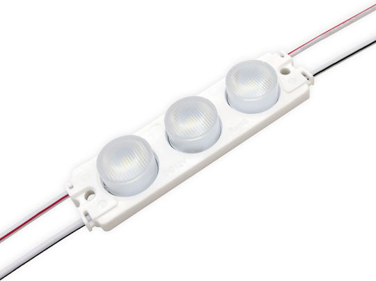 LED Модул 3L SMD3030 IP65 2.5W 12VDC 10x65D 7000K