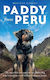 Paddy From Peru The Incredible True Story Of One Plucky Dog Who Crossed The World To Find His Forever Home Mirelle Radley