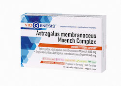 Viogenesis Astragalus Membranaceus Moench Complex 30 φυτικές κάψουλες Viogenesis Astragalus Membranaceus Moench Complex 30 φυτικές κάψουλες
