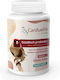 Avianvet Carduelis Goldfinch Probiotic – Probiotic for Goldfinches 100g