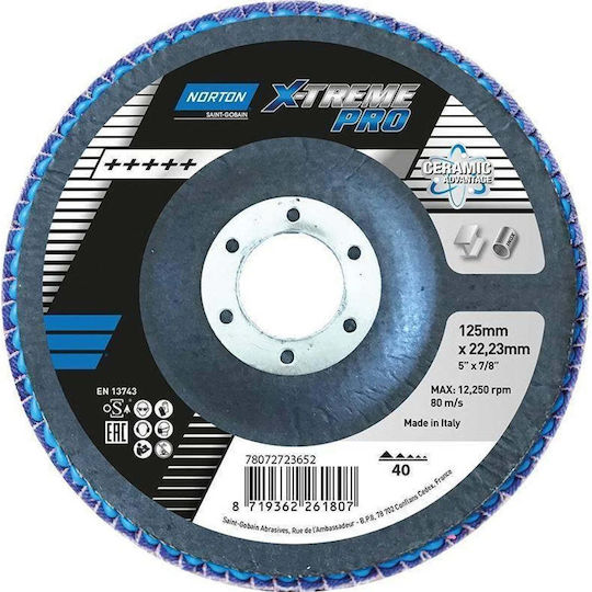 Norton Clipper Piatra De Șlefuit Disc X-treme Pro R928 Roz