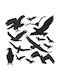Window Stickers Prevent Birds – Bird Deterrent 14 Pieces