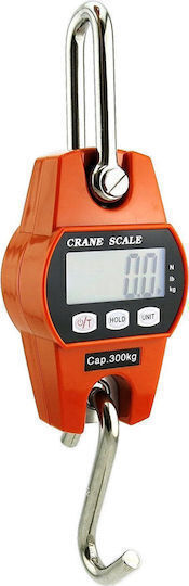 SPV Electronic Professional Crane Scale with Weighing Capacity 300kg and Accuracy 50g