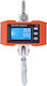 SPV Electronic Professional Crane Scale with Weighing Capacity 1000kg