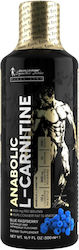 Kevin Levrone Linie Anabolic Mit Carnitin 3000mg 500ml Kevin Levrone Linie Anabolic Mit Carnitin 3000mg 500ml
