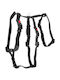 Flamingo Dog Safety Harness Zera Xlarge Black