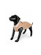 Barry King Beige Dog Coat Large With Back Length 45 cm