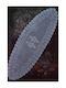 SteweHome Läufer mit Spitze 35x110cm