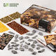 Gamers Grass Goldener Herbstlichtung Basisschachtel