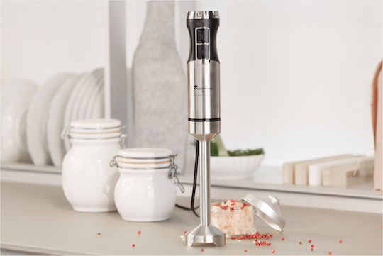 Bergner Ραβδομπλέντερ με Ανοξείδωτη Ράβδο 800W Ασημί