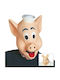 Karnevalsmasken Mrs & Mr Piggy