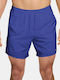 2-in-1 Herren Shorts Dri-Fit Lila