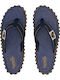 Flip Flops in Blue Colour 9G/IS/DDEN