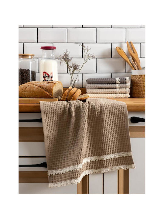 SteweHome Kitchen Towel Made of 100% Cotton in Brown Colour 40x60cm 5 Pieces