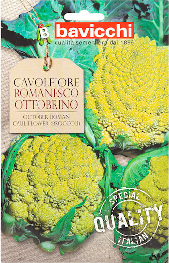 Geo Bavicchi Früh Blumenkohl Saatgut