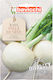 Geo Bavicchi Turnip Seeds Snowball White