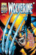 Wolverine Not Dead Yet Omnibus Tom Defalco PB