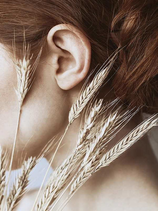 Poster Wheat Pst25120 40cm X 50cm Premium Μαύρο Ξύλινο Κάδρο