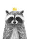 Παιδικό Κάδρο Queen Racoon με Μαύρη Κορνίζα από Ξύλο 40x50εκ.