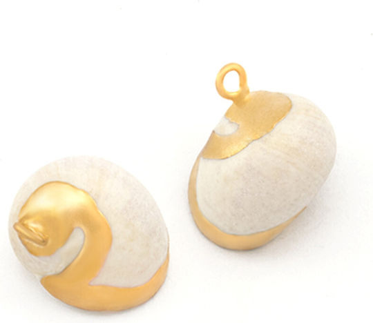 Natural Seashell Gold Details 16x14mm Beige Package 6 Pieces