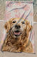 SteweHome Cotton Ecru Beach Towel 150x75cm